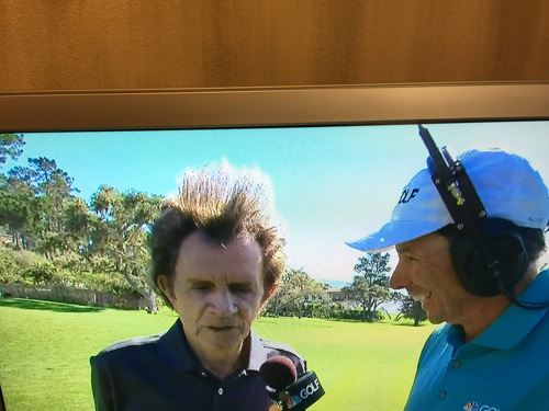 Mule Deer entertaining CBS and The Golf Channel at Pebble Beach 